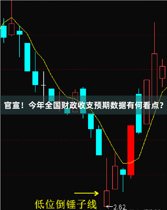 官宣！今年全国财政收支预期数据有何看点？
